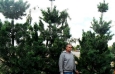 Vanderwolf Pines